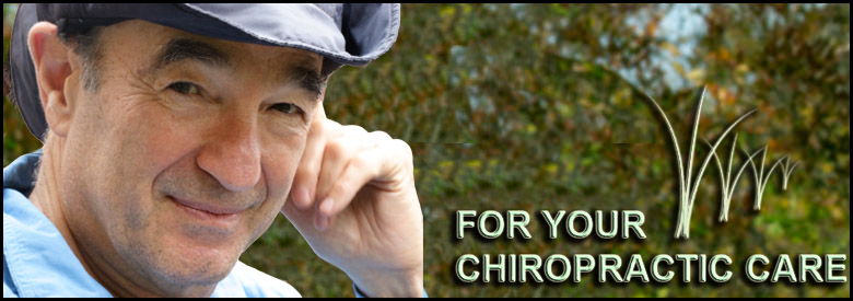 Alan Levy Chiropractor
